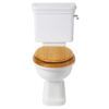 Kensington toilet