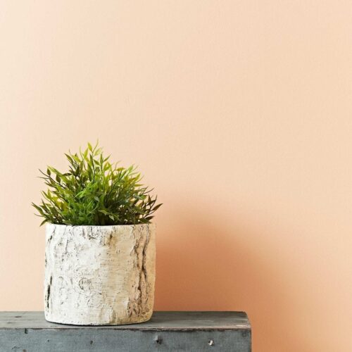 Old Ochre 2