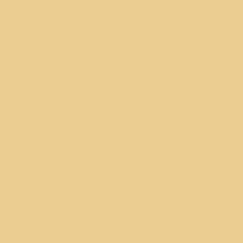 Sienna Earth