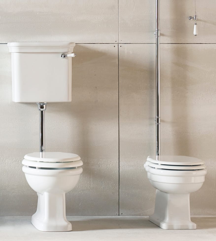 Fitzrovia toilet med high level